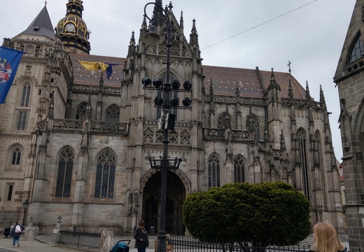 2024.04.24 16.31.10 IMAG3909